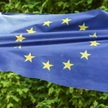 Wybory do Parlamentu Europejskiego: Czy można połączyć miłość do przyrody ze sprzeciwem wobec aborcj