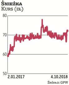Spółkę do portfela wytypował Millennium DM. Zarząd Śnieżki spodziewa się poprawy wyników finansowych