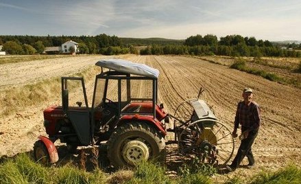 Wojna USA-Chiny: Trump musi pomagać farmerom