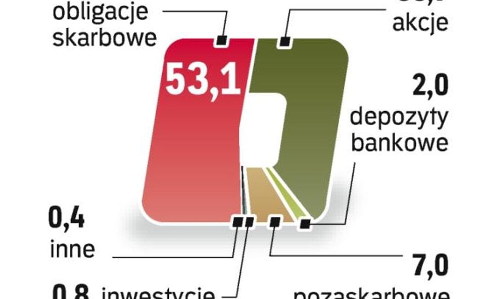 W co inwestują OFE