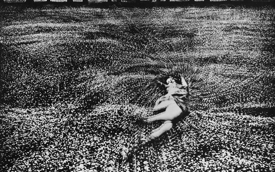 Jerzy Wardak, „Narodziny kwiatu”, 1965/1979