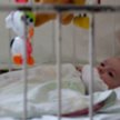 Ośrodek adopcyjny nie może zapewniać, że dziecko pochodzi ze zdrowej rodziny, jeśli nie zebrał danyc