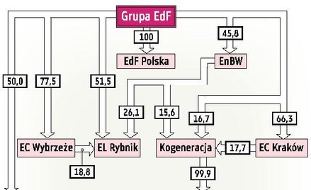 Kogeneracja Inwestorzy obawiają się o równy dostęp do danych