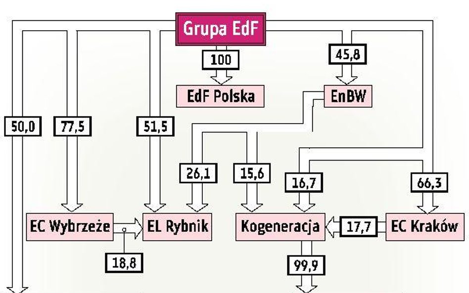 Kogeneracja Inwestorzy obawiają się o równy dostęp do danych