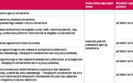 Tabela 8. Wykroczenia popełniane przez agencje zatrudnienia