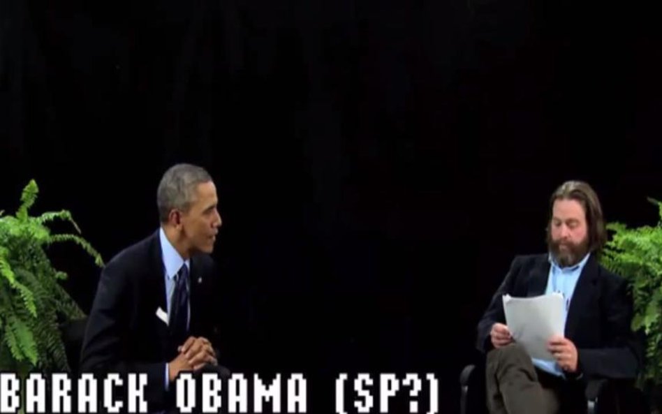 Obama z mchu i paproci