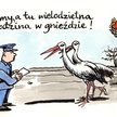 Komentarz rysunkowy. Wracamy, a tu