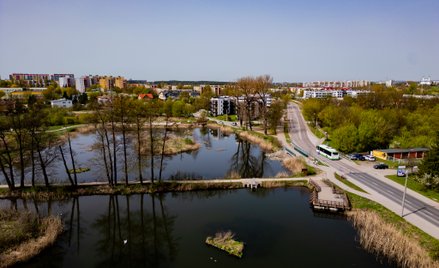 Władze Białegostoku ustanowiły użytek ekologiczny na terenie Stawów Marczukowskich i Doliny Bażantar