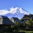 Japonia rozdaje za darmo domy. Jest ich więcej niż ludzi