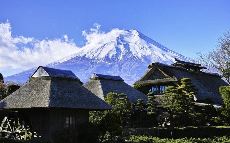 Japonia rozdaje za darmo domy. Jest ich więcej niż ludzi