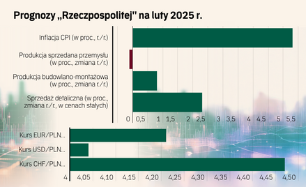 Jakie będą inflacja, sprzedaż, kursy walut w lutym? Oto prognozy najlepszych ekspertów