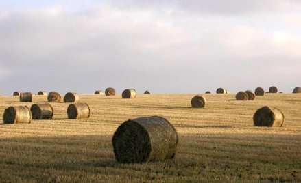 Badania będą polegały na mieszaniu gazów (spaliny) w taki sposób, aby odwzorowywały to, co dzieje si