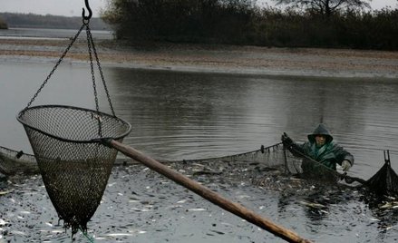 Kary pieniężne dla rybaków mogą nakładać urzędnicy