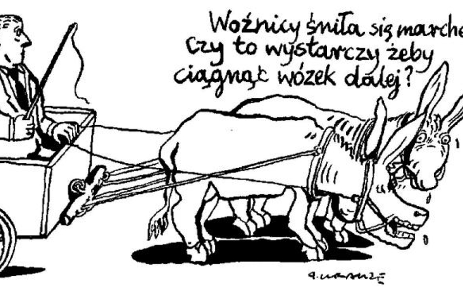 Komentarz rysunkowy. Woźnicy śniła się marchewka!