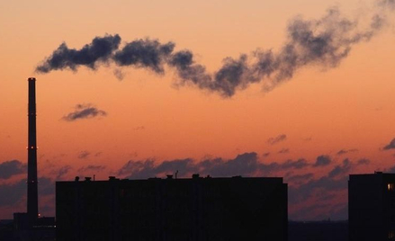 Financial Times: Ponad 25 krajów zrezygnuje z węgla do 2030 r.