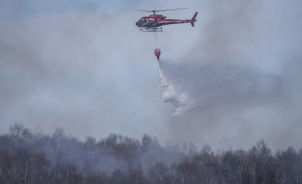 Pożar nad Biebrzą: 126 tys. zł za wskazanie podpalacza
