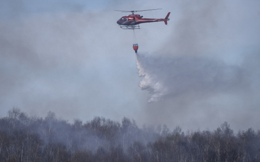 Pożar nad Biebrzą: 126 tys. zł za wskazanie podpalacza