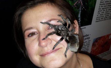 Jeden z okazów na wystawie w Pałacu Kultury i Nauki