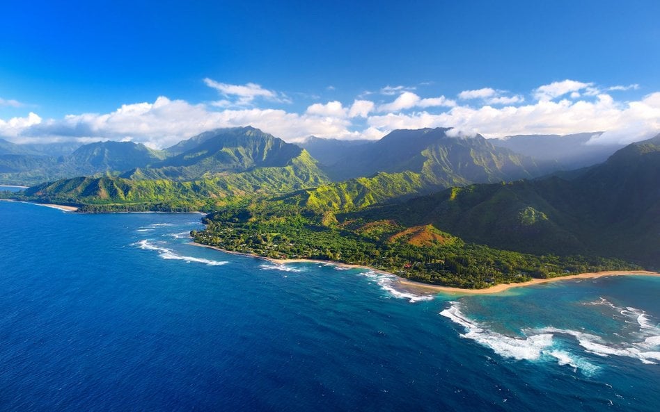 Hawajska wyspie Kauai. Tu szef Mety Mark Zuckerberg ma ranczo, a na nim bydło najlepszych ras