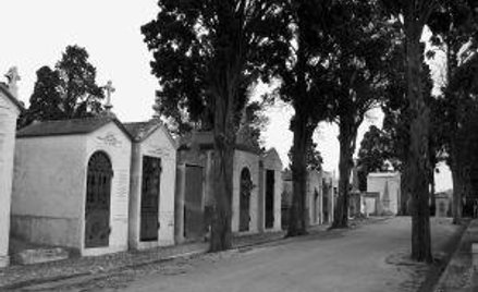 Spadkobierca nie wnioskuje o odszkodowanie