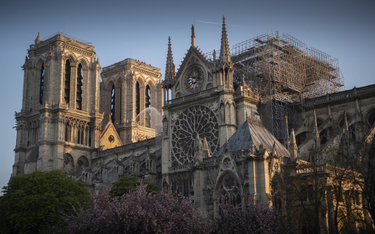 Na odbudowę Notre Dame zebrano już miliard euro. Koszt może być jednak kilkukrotnie wyższy