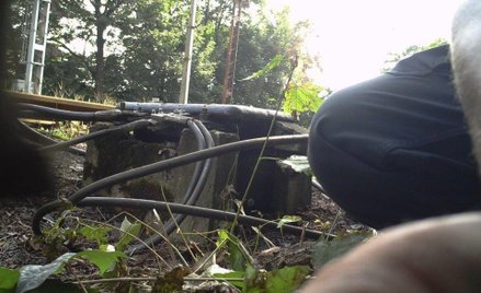 Dzieci "bawiły się" kładąc drabinę na torach