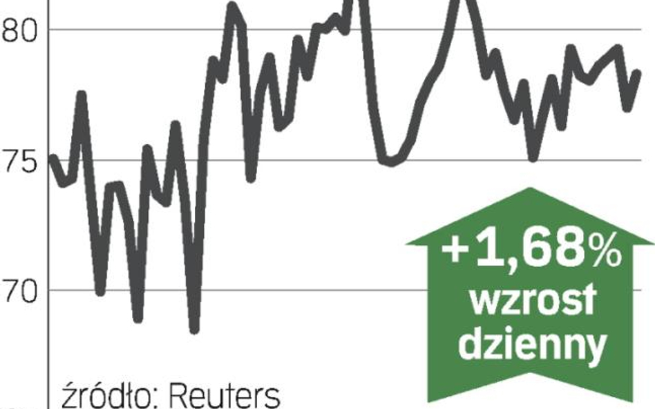 Rekordowy zysk, akcje zyskują