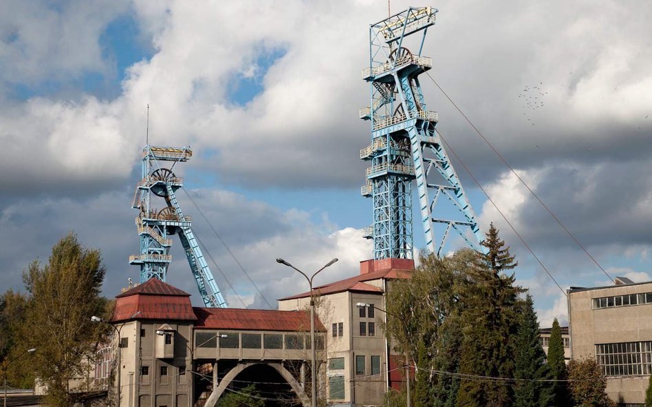 PG Silesia, z grupy Bumechu, wydobywająca węgiel, wdrożyła działania poprawiające efektywność operac