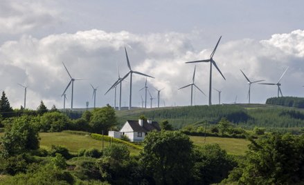 Wydłużenie procesu sprzedaży farm Taurona