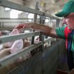 Rekompensata dla rolnika za utratę dochodu nie podlega VAT