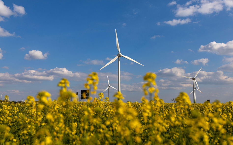 Już teraz na Zachodnim Pomorzu rozwijają się duże farmy wiatrowe