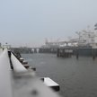W Niemczech, czyli na największym rynku gazowym w UE, zużycie gazu było o 1/4 mniejsze niż średnia m