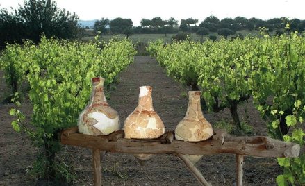 Starożytne naczynia do przechowywania wina, odkryte na Cyprze