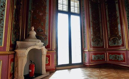 Gigapikselowe dzieła sztuki Wilanowa