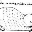 Komentarz rysunkowy