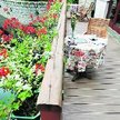Drewno kompozytowe to wyjątkowa wytrzymałość i walory naturalnego surowca