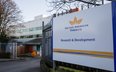 British American Tobacco przyspiesza cyfrową transformację. Tysiące pracowników stracą pracę