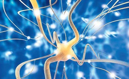 Neuron, podstawowa komórka układu nerwowego