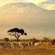 Zwiedzanie Kenii będzie tańsze