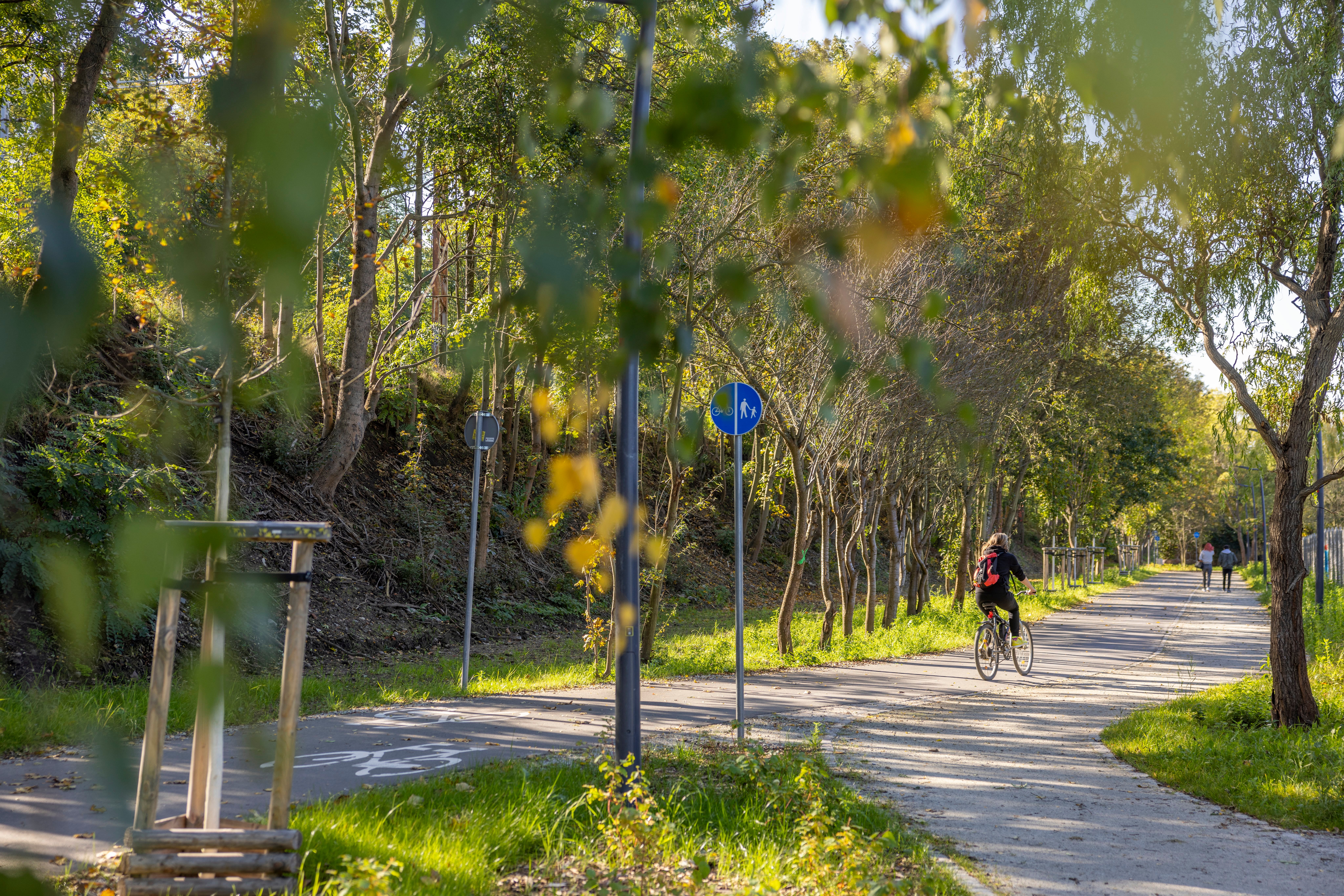 Wrocław to miasto skrojone pod jazdę rowerem