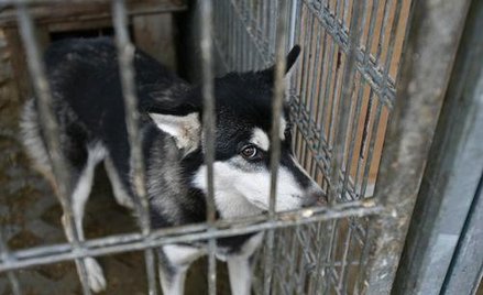 Więcej dręczycieli ukaranych