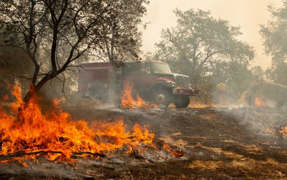 "Tornada ognia". Kalifornia walczy z pożarami