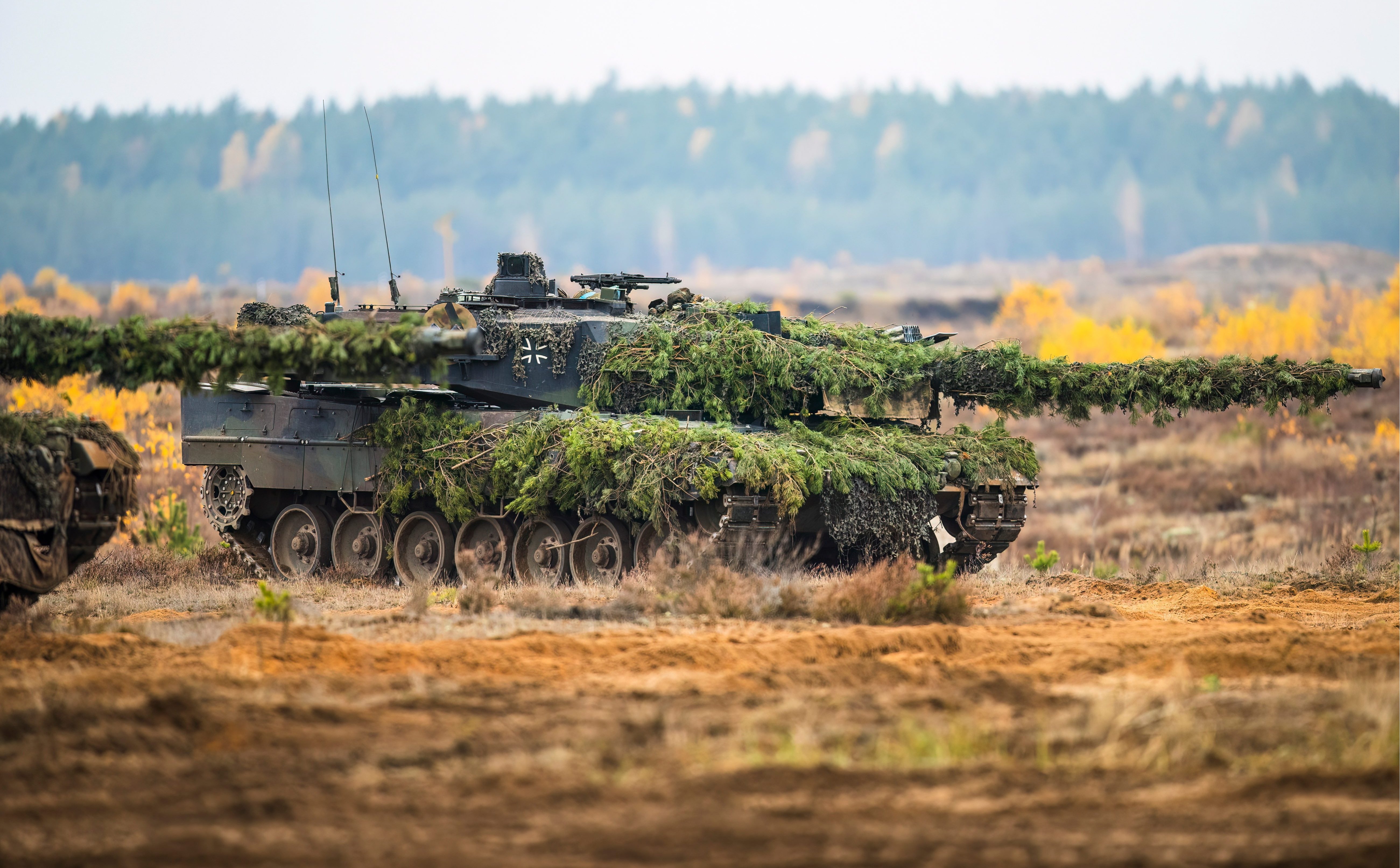 Niemcy – militarny kolos na (jeszcze) glinianych nogach