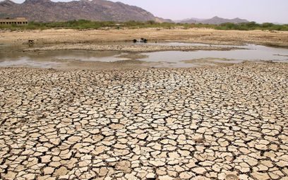 Indie: Bijatyka o wodę w czasie upałów. Jedna ofiara