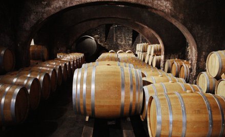 W Europie zagłębiem win kofermentowanych jest Austria – kraj słynący z doskonałej jakości, klasyczny