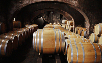W Europie zagłębiem win kofermentowanych jest Austria – kraj słynący z doskonałej jakości, klasyczny