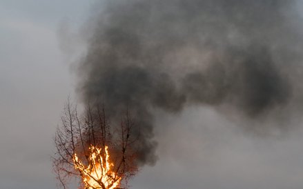 Piotr Uklański, Bez tytułu, 2015