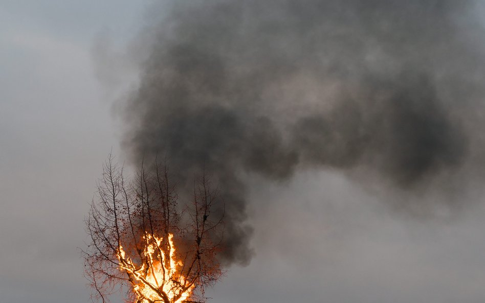 Piotr Uklański, Bez tytułu, 2015