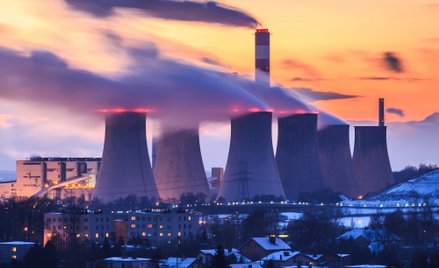 Żarówka, 12 milionów i manipulacja. „Gdy zabraknie prądu w 2025, to kogo rząd obwini?”