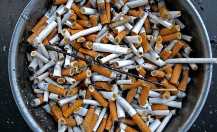 Bierne palenie uszkadza DNA